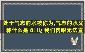 处于气态的水被称为,气态的水又称什么是 🌿 我们肉眼无法直 ☘ 接看到的